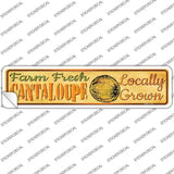 Farm Fresh Cantaloupe Novelty Narrow Sticker Decal