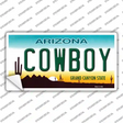 Cowboy Arizona Novelty Sticker Decal
