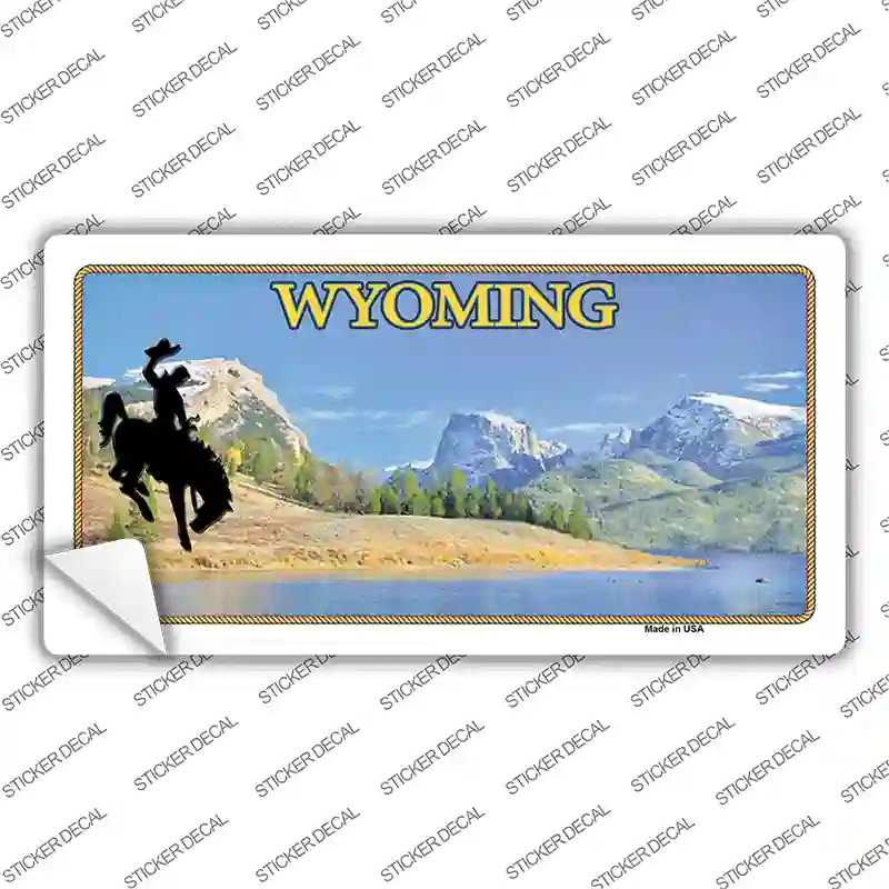 Wyoming Blank Novelty Sticker Decal
