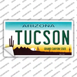 Tucson Arizona Novelty Sticker Decal
