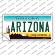 Arizona Background Novelty Sticker Decal