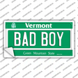 Bad Boy Vermont Novelty Sticker Decal