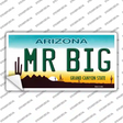 Mr Big Arizona Novelty Sticker Decal