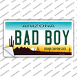 Arizona Bad Boy Novelty Sticker Decal