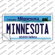 Minnesota Novelty Sticker Decal