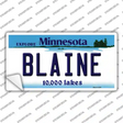 Blaine Minnesota State Novelty Sticker Decal