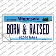 Born and Raised Minnesota State Novelty Sticker Decal