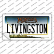 Livingston Montana State Novelty Sticker Decal