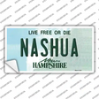 Nashua New Hampshire State Novelty Sticker Decal