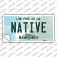 Native New Hampshire State Novelty Sticker Decal