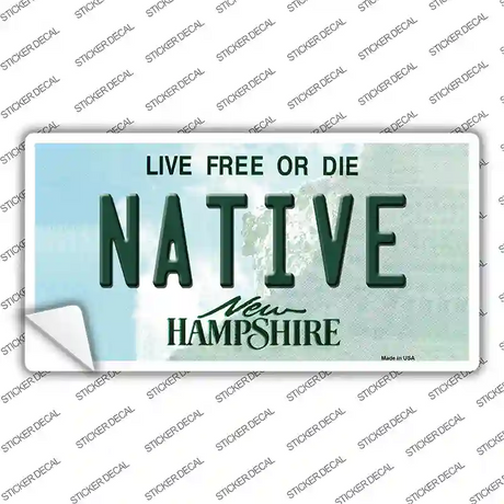 Native New Hampshire State Novelty Sticker Decal