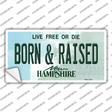 Born and Raised New Hampshire State Novelty Sticker Decal