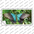 Butterfly Blue and Black Novelty Sticker Decal
