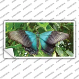 Butterfly Blue and Black Novelty Sticker Decal