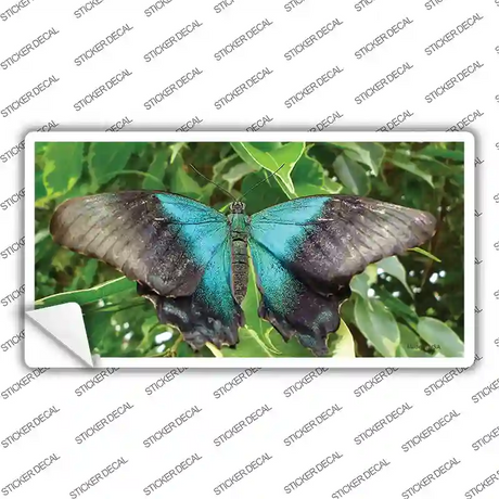 Butterfly Blue and Black Novelty Sticker Decal