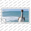Pelican Ocean Novelty Sticker Decal