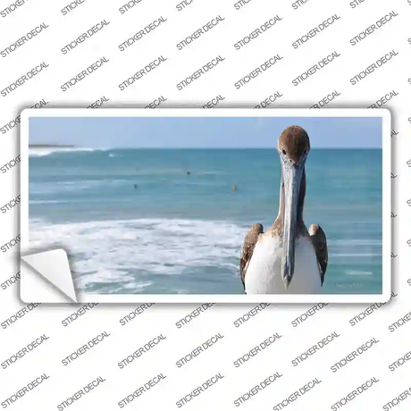 Pelican Ocean Novelty Sticker Decal