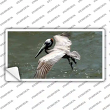 Pelican In Flight Novelty Sticker Decal