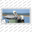 Pelican Two On Pier Novelty Sticker Decal
