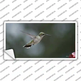 Hummingbird In Flight Novelty Sticker Decal