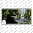 Hummingbird At Feeder Novelty Sticker Decal
