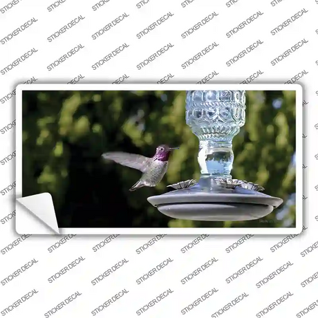 Hummingbird At Feeder Novelty Sticker Decal