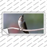 Hummingbird Perched On Branch Novelty Sticker Decal