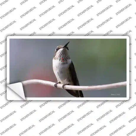 Hummingbird Perched On Branch Novelty Sticker Decal
