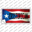 Christorican Puerto Rico Flag Novelty Sticker Decal