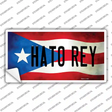 Hato Rey Puerto Rico Flag Novelty Sticker Decal