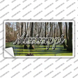 Mississippi Swamp State Novelty Sticker Decal