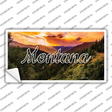 Montana Forest Sunset State Novelty Sticker Decal