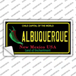Albuquerque New Mexico Black State Novelty Sticker Decal