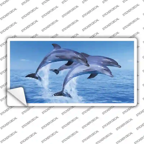 Dolphins Novelty Sticker Decal