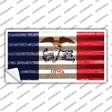 Iowa Corrugated Flag Novelty Sticker Decal