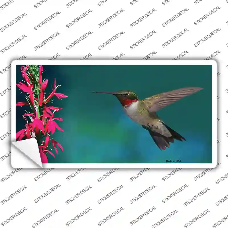 Humming Bird Novelty Sticker Decal
