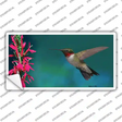 Humming Bird Novelty Sticker Decal