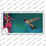 Humming Bird Novelty Sticker Decal