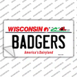 Badgers Wisconsin Novelty Sticker Decal