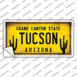 Arizona Tucson Novelty Sticker Decal
