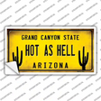 Arizona Hot as Hell Novelty Sticker Decal
