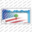 South Carolina with American Flag Novelty Sticker Decal