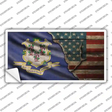 Connecticut/American Flag Novelty Sticker Decal