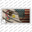 Illinois/American Flag Novelty Sticker Decal