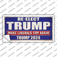 Re-Elect Trump Novelty Sticker Decal