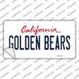 Golden Bears Novelty Sticker Decal