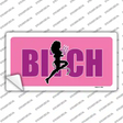She-Devil Bitch Novelty Sticker Decal