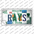 Rays Strip Art Novelty Sticker Decal