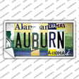 Auburn Strip Art Novelty Sticker Decal