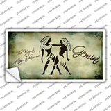 Gemini Zodiac Novelty Sticker Decal